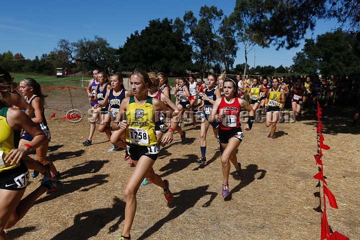 2015SIxcHSD3-094.JPG - 2015 Stanford Cross Country Invitational, September 26, Stanford Golf Course, Stanford, California.